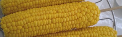 Hot Cob Corn Logo